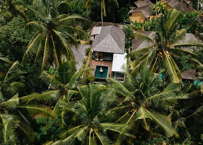 Samkhya Villas - Free 1X Floating Breakfast Or Minibar Ubud 